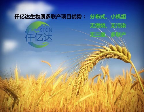 仟億達(dá)生物質(zhì)多聯(lián)產(chǎn)介紹（2）